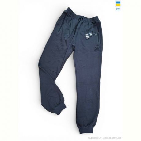 Спортивные брюки Sport style 12AD графіт