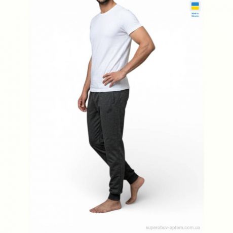 Спортивные брюки Sport style 2NI т.сірий