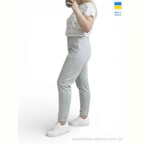 Спортивные брюки Sport style 10055-1NI св.сірий